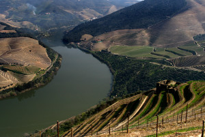 Porto Douro