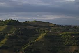 canelli