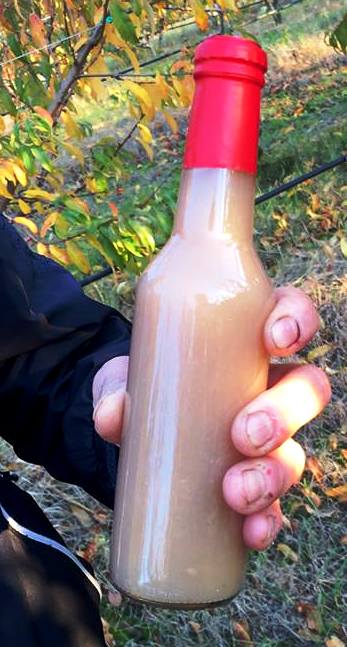 bottiglia PS