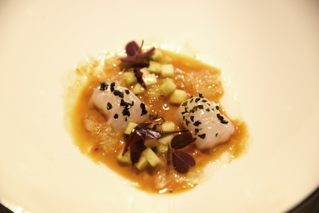 Scampi_closeup