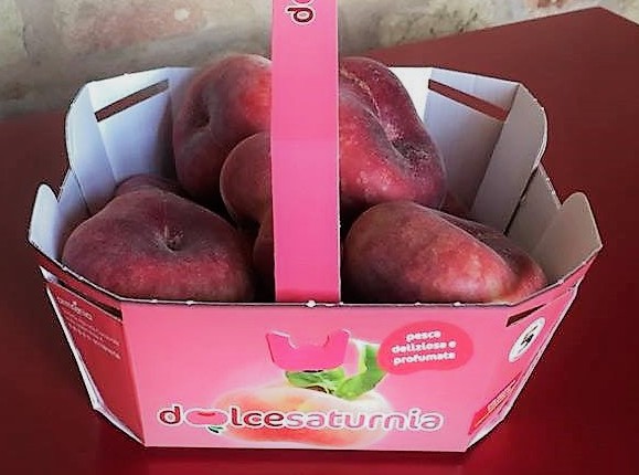 cestino3_ps